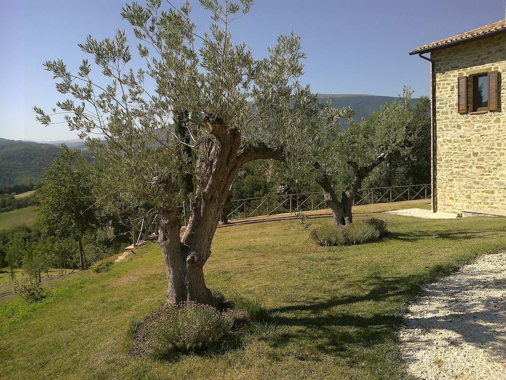 Agriturismo Paradiso 44 アッシジ エクステリア 写真