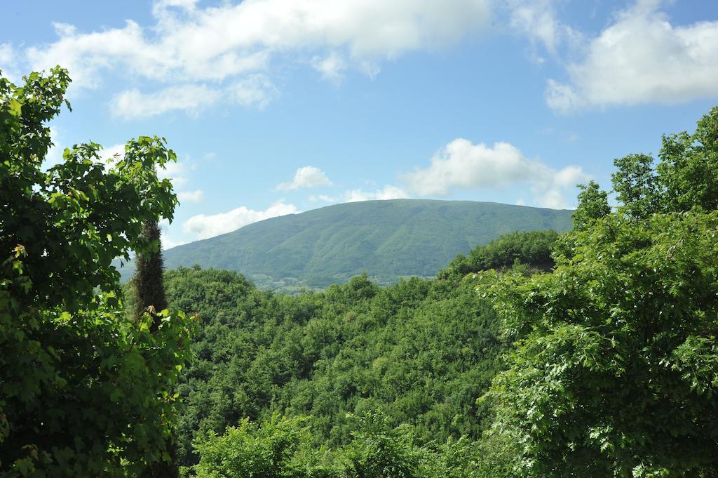 Agriturismo Paradiso 44 アッシジ エクステリア 写真