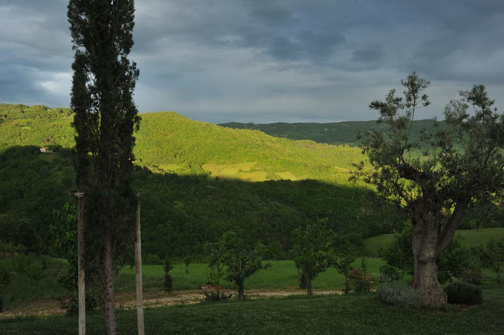 Agriturismo Paradiso 44 アッシジ エクステリア 写真