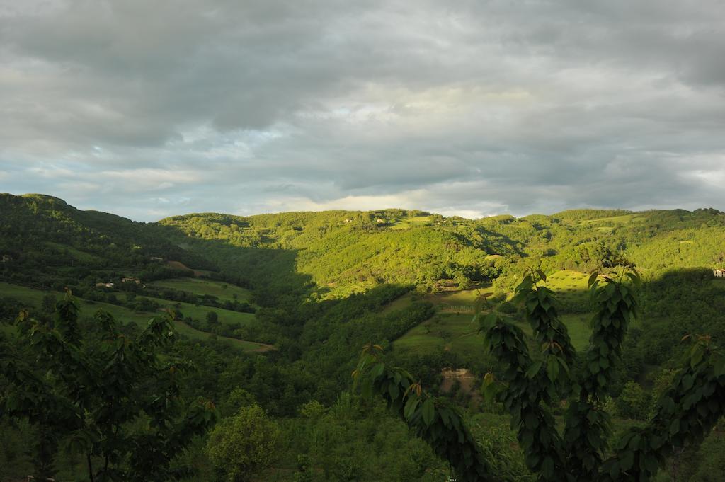 Agriturismo Paradiso 44 アッシジ エクステリア 写真