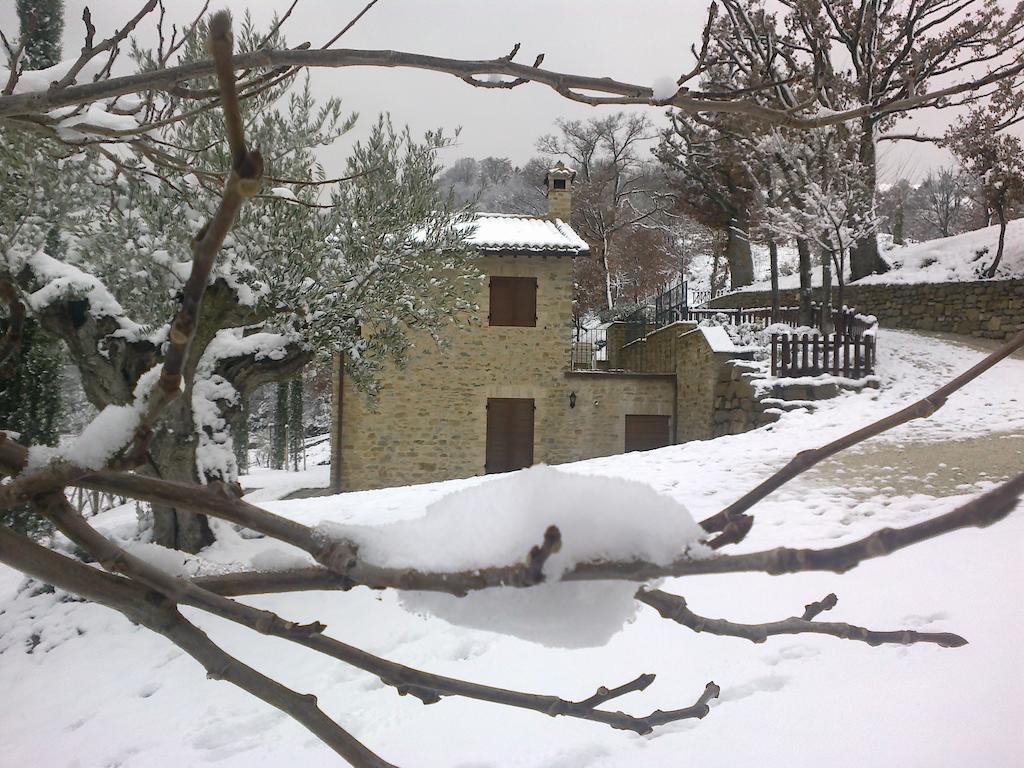 Agriturismo Paradiso 44 アッシジ エクステリア 写真