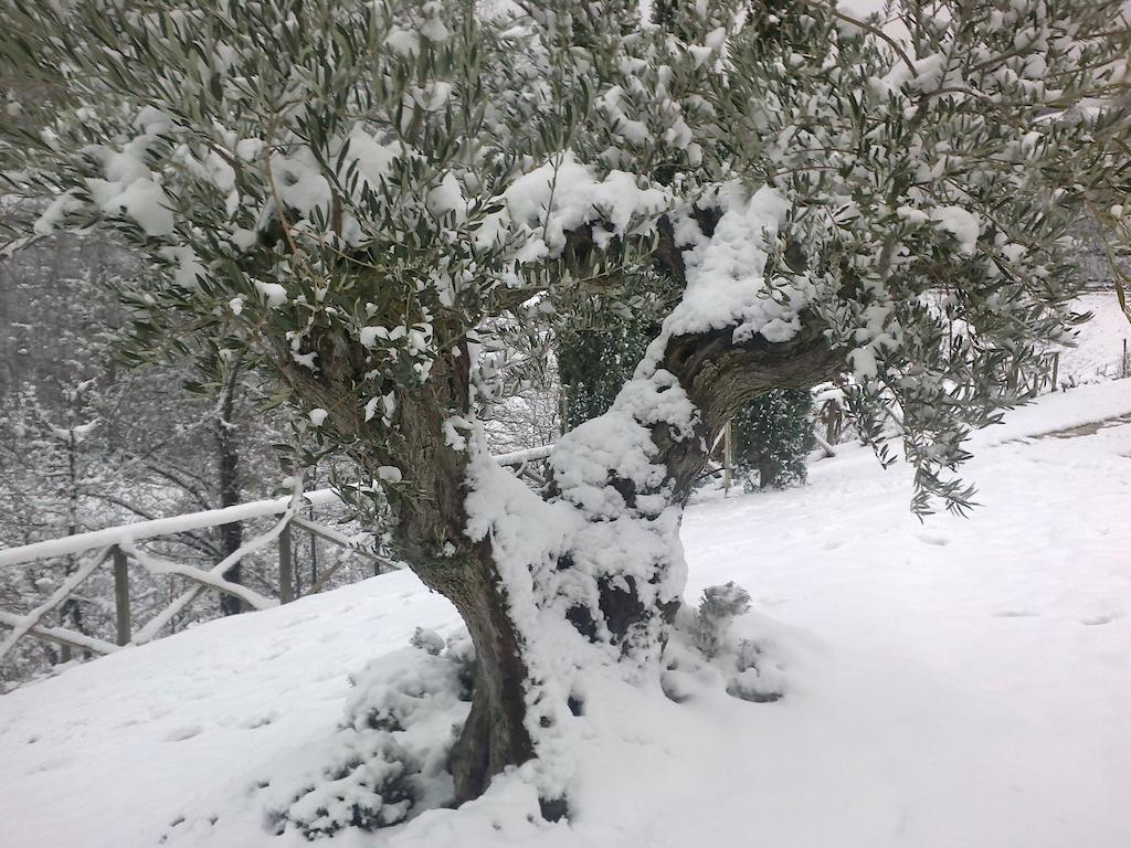 Agriturismo Paradiso 44 アッシジ エクステリア 写真