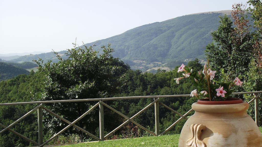 Agriturismo Paradiso 44 アッシジ エクステリア 写真