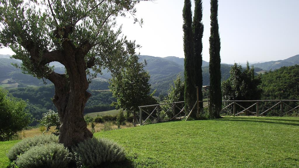 Agriturismo Paradiso 44 アッシジ エクステリア 写真