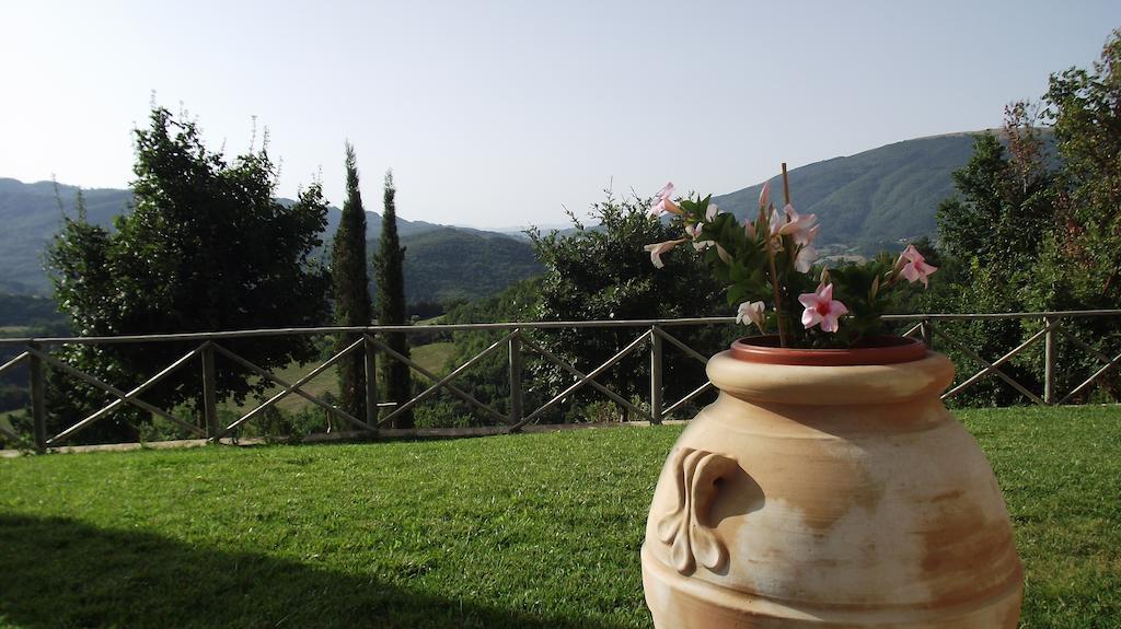 Agriturismo Paradiso 44 アッシジ エクステリア 写真