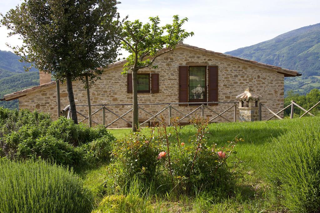 Agriturismo Paradiso 44 アッシジ エクステリア 写真