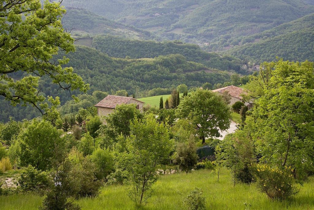 Agriturismo Paradiso 44 アッシジ エクステリア 写真