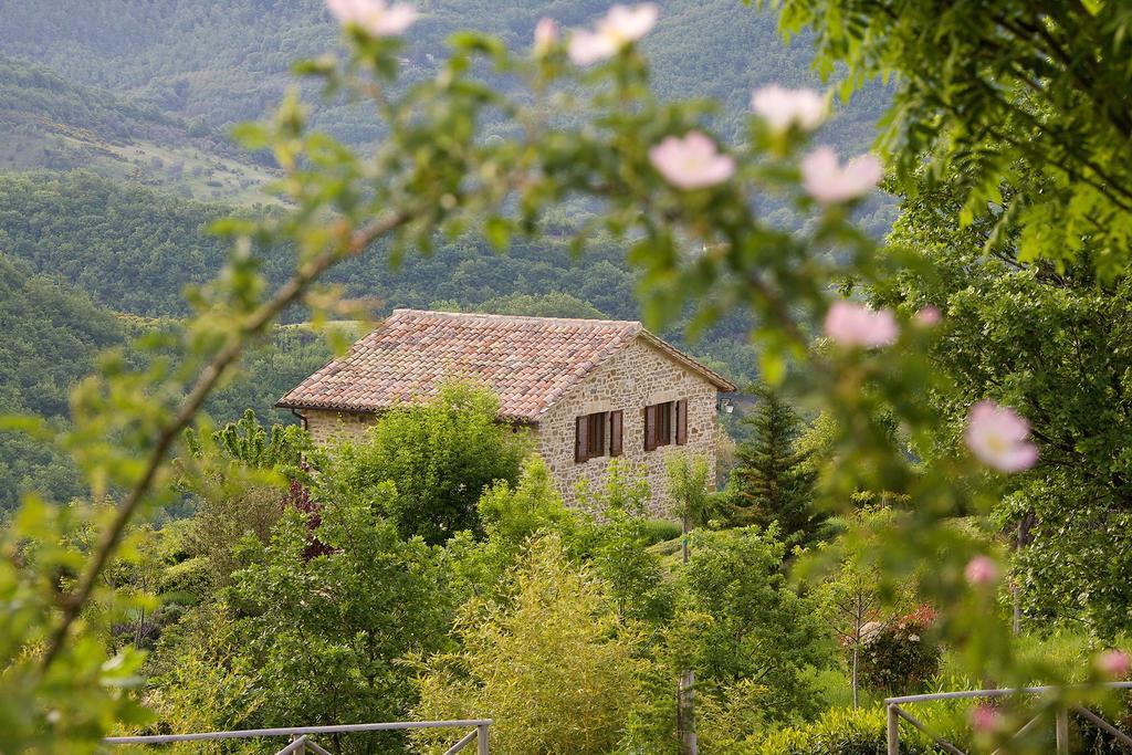 Agriturismo Paradiso 44 アッシジ エクステリア 写真
