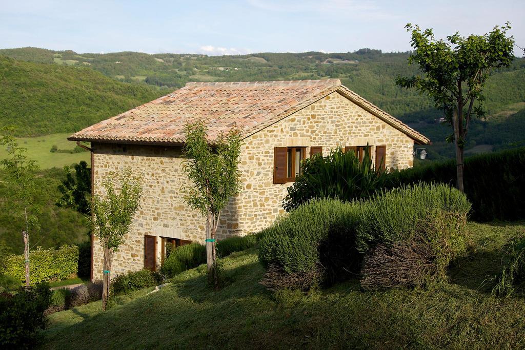 Agriturismo Paradiso 44 アッシジ エクステリア 写真